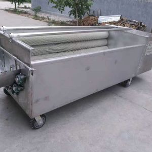 松茸KAIYUN.COM·开云「中国」官方网站机