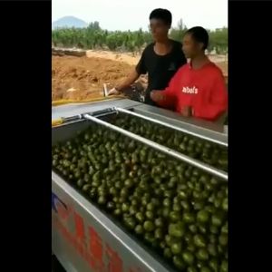 核桃去皮KAIYUN.COM·开云「中国」官方网站一体机视频