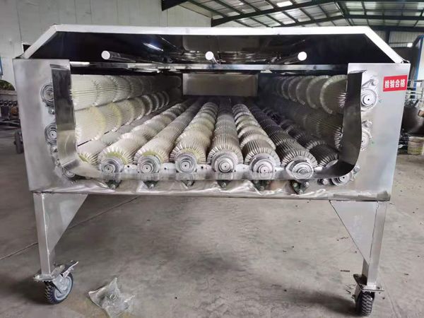大型果蔬KAIYUN.COM·开云「中国」官方网站机