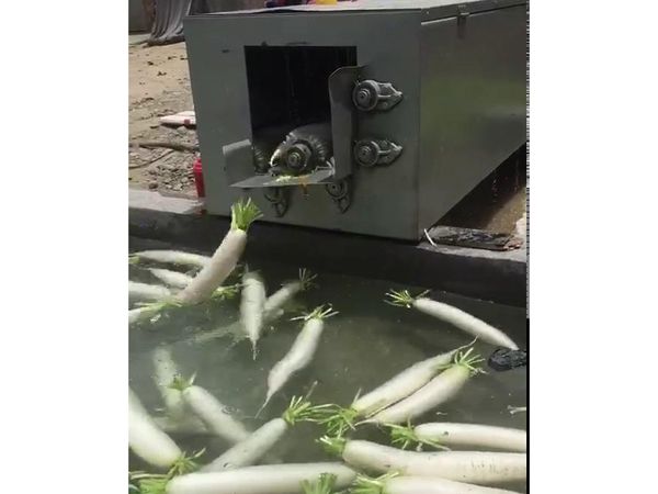 白萝卜KAIYUN.COM·开云「中国」官方网站机视频