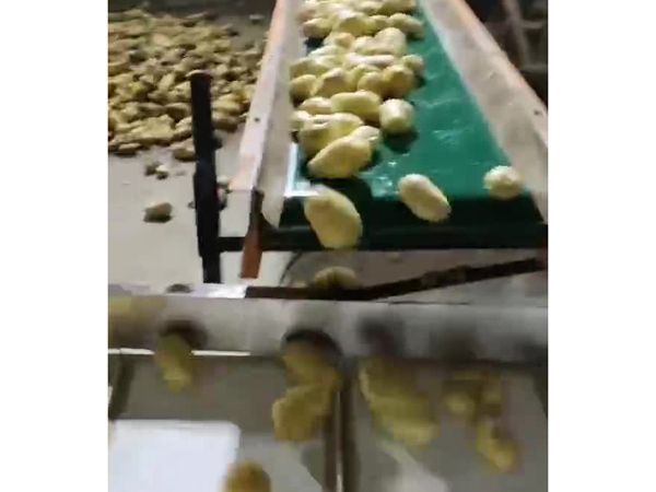 土豆KAIYUN.COM·开云「中国」官方网站机视频