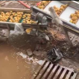 土豆KAIYUN.COM·开云「中国」官方网站机视频
