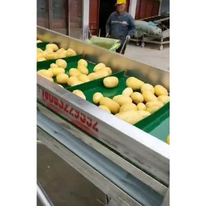 土豆KAIYUN.COM·开云「中国」官方网站视频